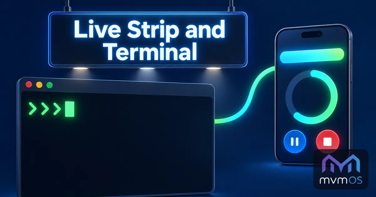 Live Strip and Terminal